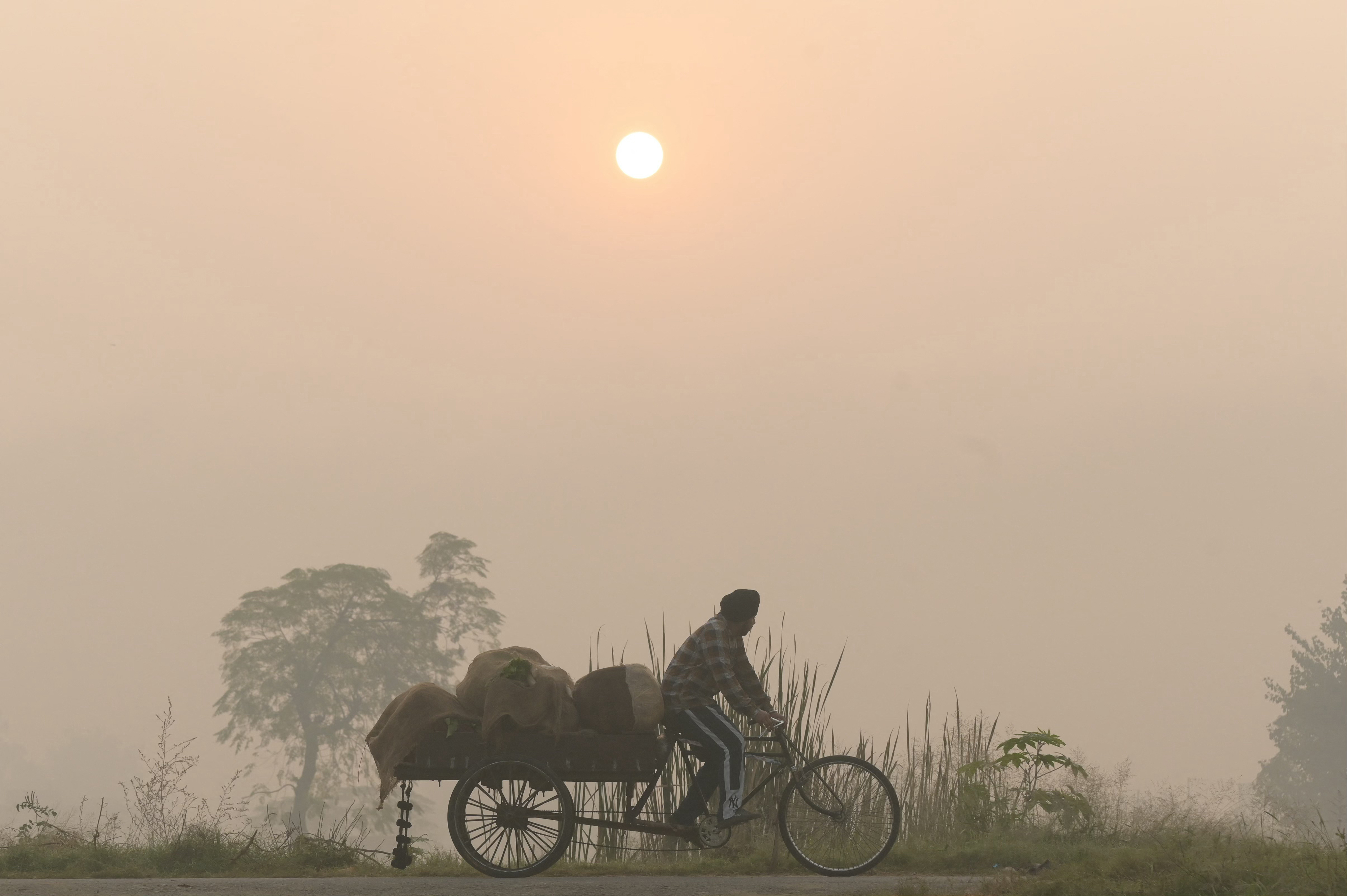 Contaminación en Nueva Delhi