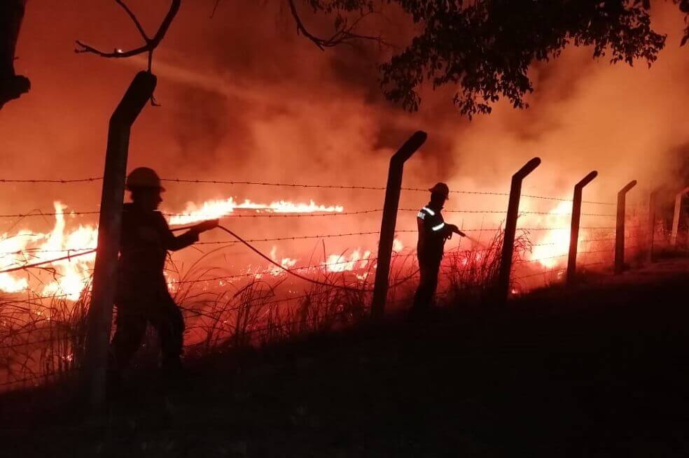 Incendios en Colombia han consumido este año 120.000 hectáreas de bosques