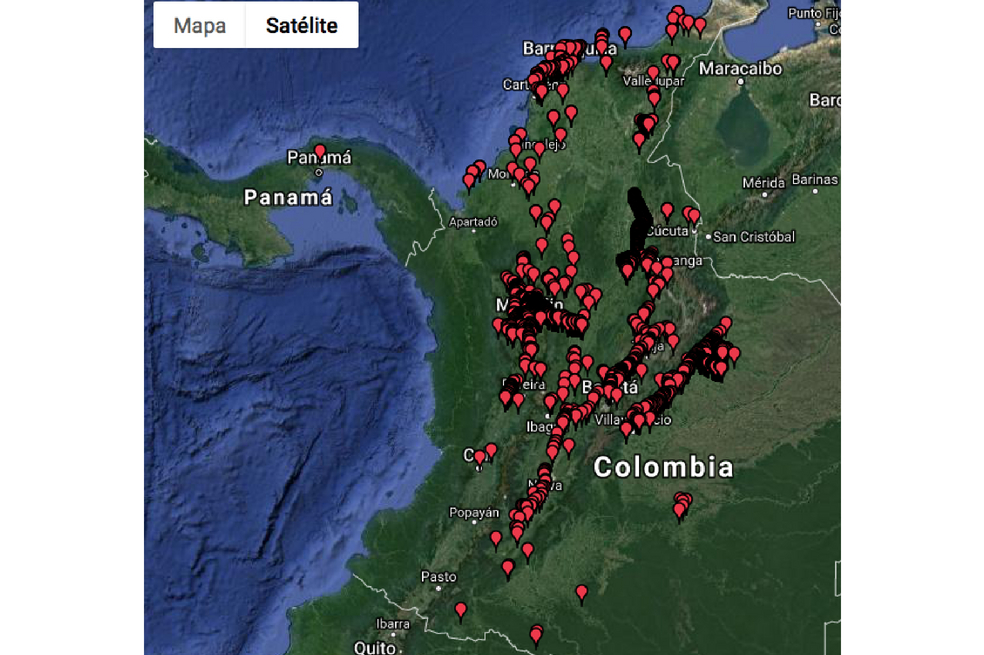 La app que quiere evitar más animales atropellados en las carreteras del país