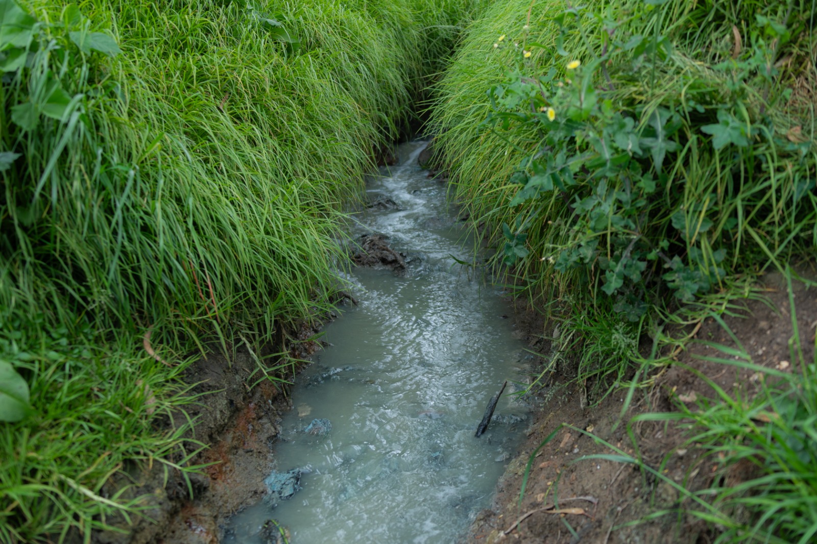 CAR ha otorgado más de 50 permisos de vertimientos sin que se observen resultados sobre la calidad del río.