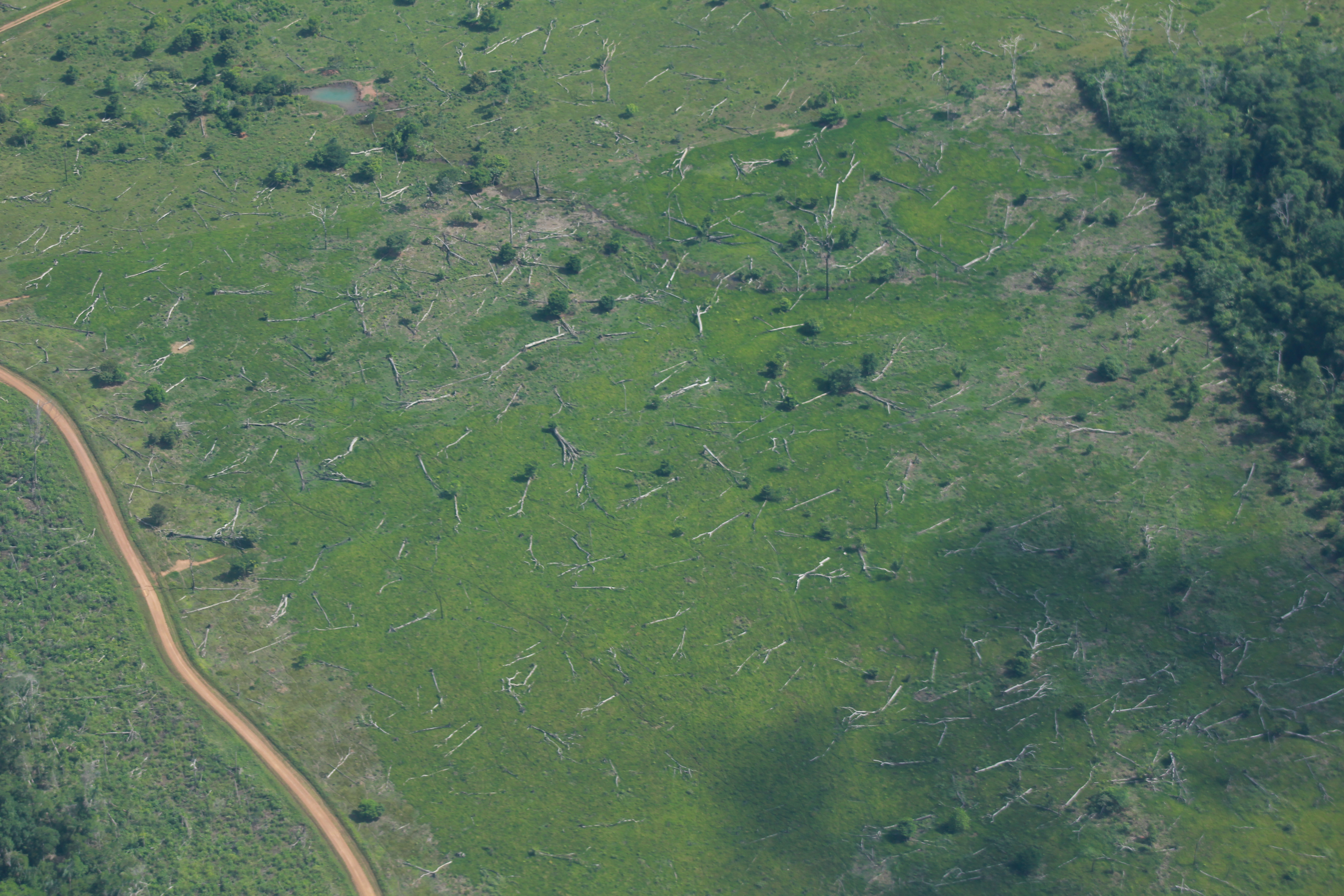 Cada día se construyen cerca de 4 kilómetros de vías ilegales en la Amazonia colombiana