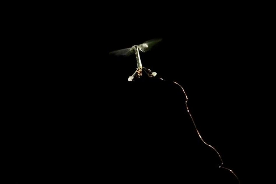 Científicos logran hacer volar a un robot del tamaño de una mosca