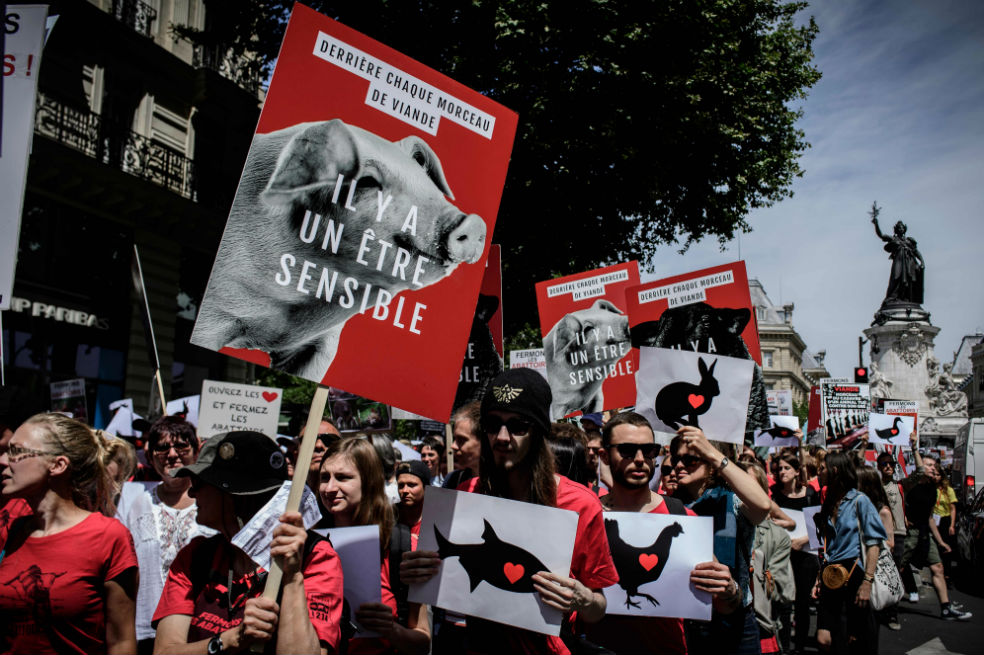 Carniceros en Francia piden protección frente a los veganos