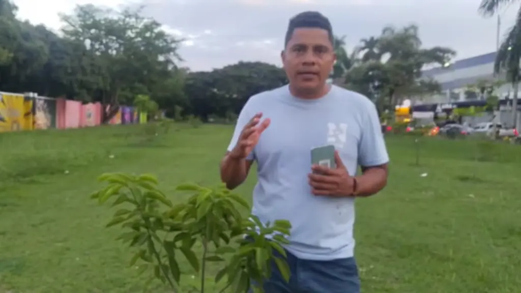 Polémica por traslado de árboles para Feria de Cali: llevaban 2 años reforestando