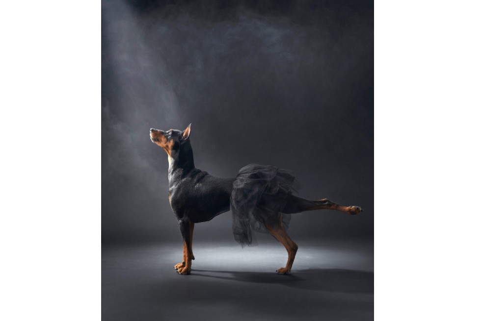 “Bailarina” | Anna Averianova ganó el primer lugar en la categoría ‘Estudio’.