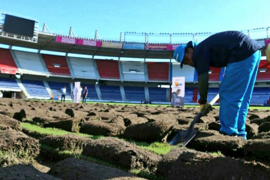 Se inician trabajos para arreglar la grama del Metropolitano