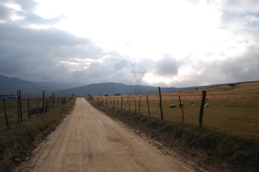 Sobre Santurbán: el páramo, desesperadamente