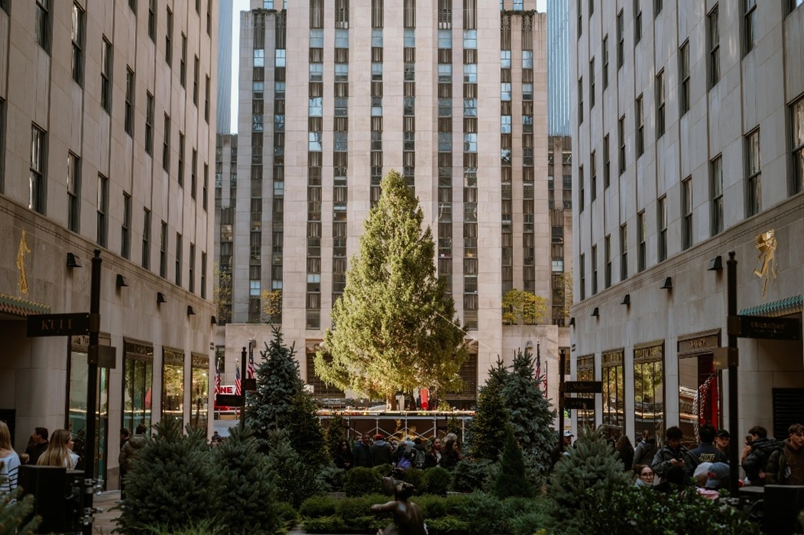 Empezó la temporada navideña en Nueva York con el árbol del Rockefeller Center
