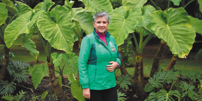 Martha Liliana Perdomo: la fiesta de las orquídeas