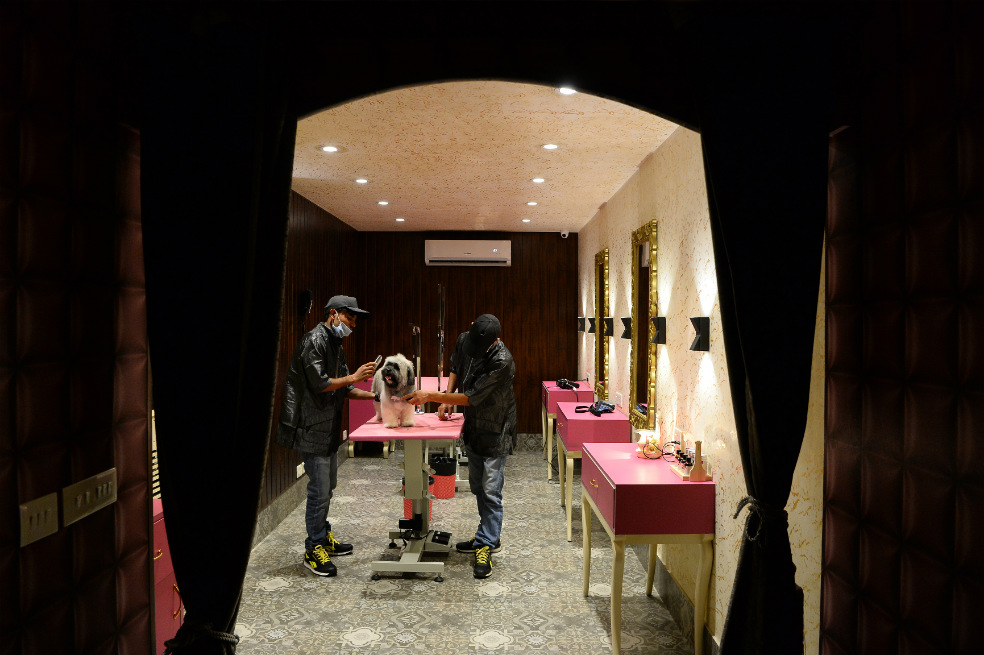 En este hotel para perros las suites pueden costar hasta 70 dólares por noche. / AFP
