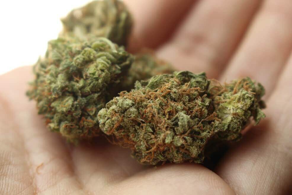 Encuentran sorprendente relación entre consumo de marihuana y calidad del esperma