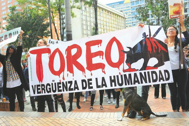 La dilatada discusión de la ley antitaurina