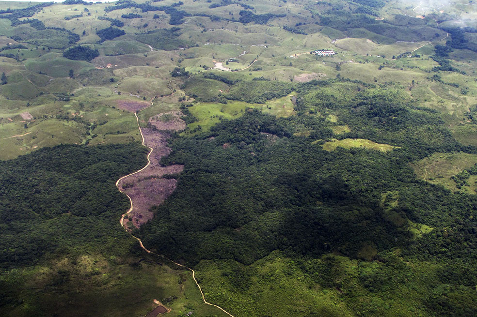 En sólo dos años Colombia transformó el 1,86% de su territorio natural