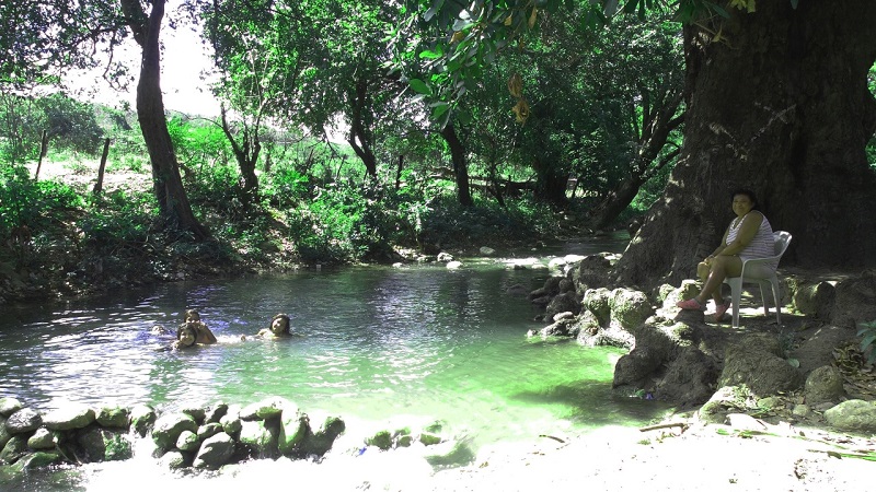 Nueva área protegida en La Guajira resguardará el bosque seco tropical