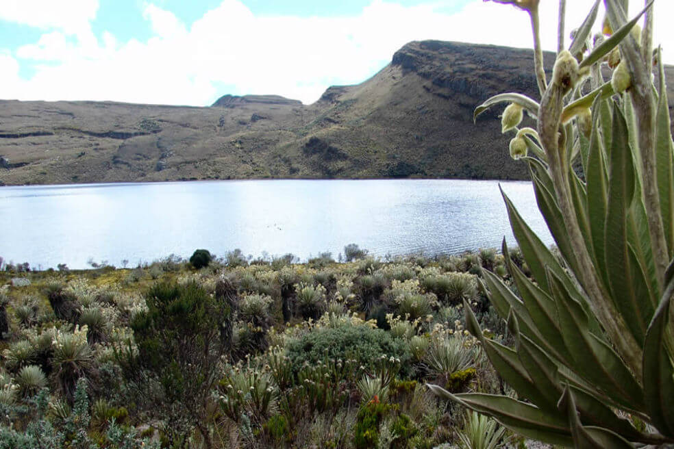 Firman Pacto por la protección del Páramo de Sumapaz
