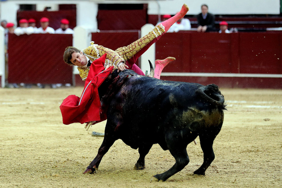 Torero español recibió cornada al cierre de la temporada taurina de Bogotá