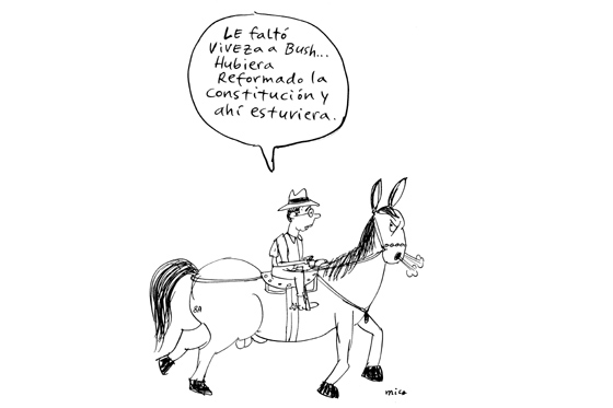 Viveza