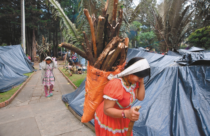 Amazonía: calor extremo afectaría a millones de personas para 2100