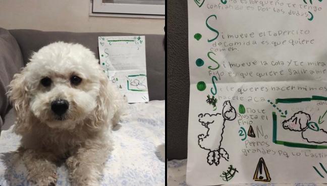 Niña se hace viral luego de llevar a su perrito a la guardería y dejar instrucciones