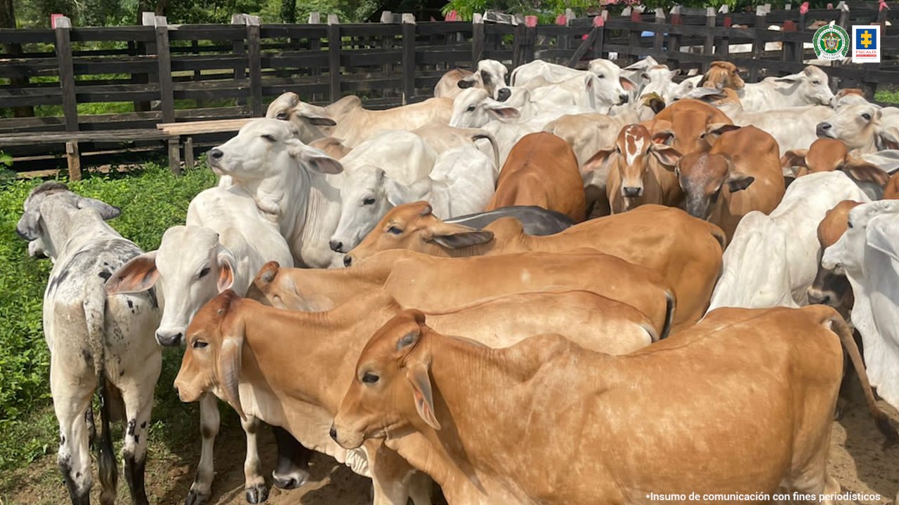 Ocupan bienes con extinción de dominio del Clan del Golfo por $41 mil millones