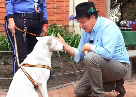 Don Jediondo tiene noble gesto con una perrita callejera: “¿Me la llevo pa’ Sutamarchán?”
