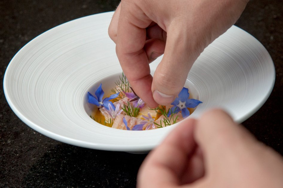 Del jarrón al plato: en Colombia, las flores también se comen