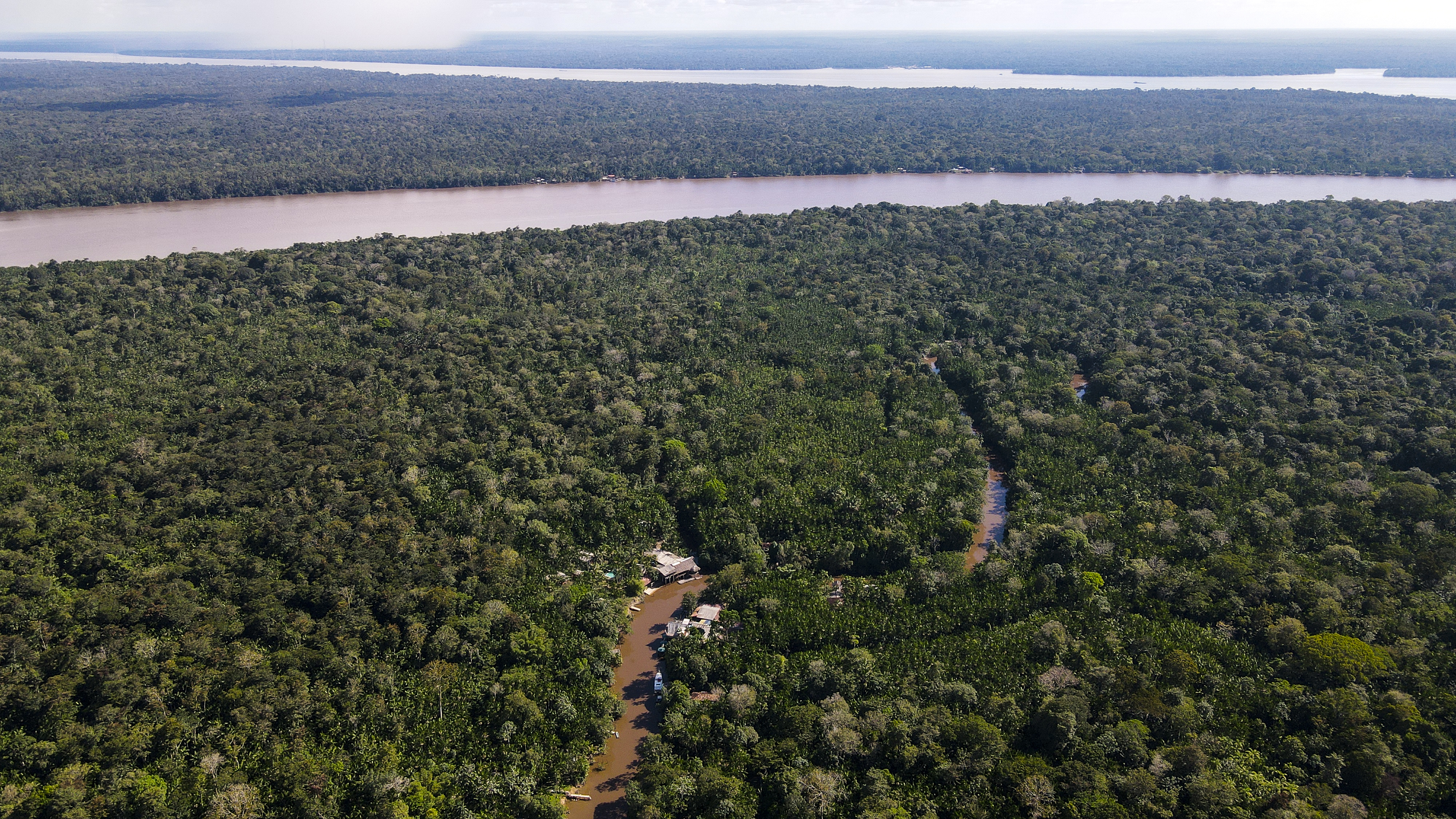 Científicos piden valorar la naturaleza más allá de la plata que produce