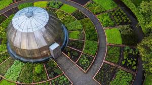 La alianza entre Jardín Botánico de Bogotá y Alemania para reforzar investigación