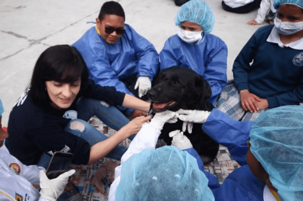 Estudiantes de Bogotá podrán hacer su servicio social en torno al bienestar animal