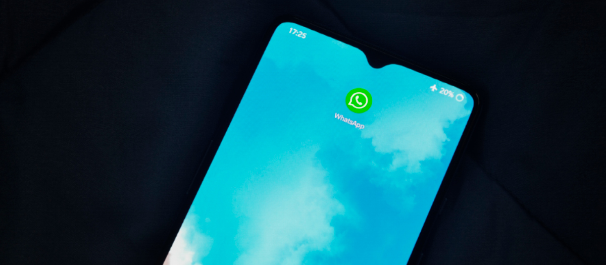 WhatsApp, celular, aplicación de WhatsApp