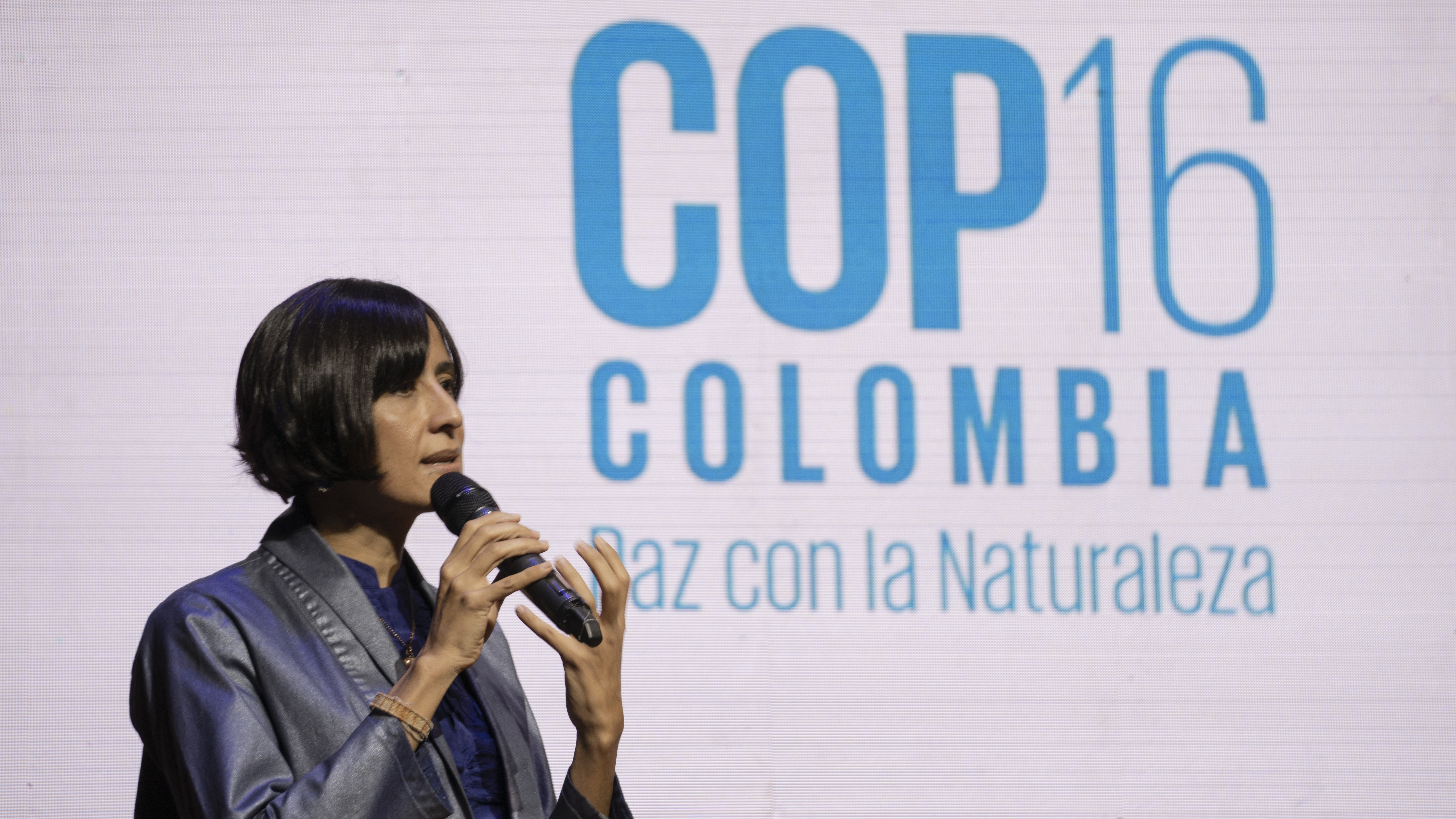 COP16: Minambiente envía mensaje de tranquilidad tras amenazas de disidencias