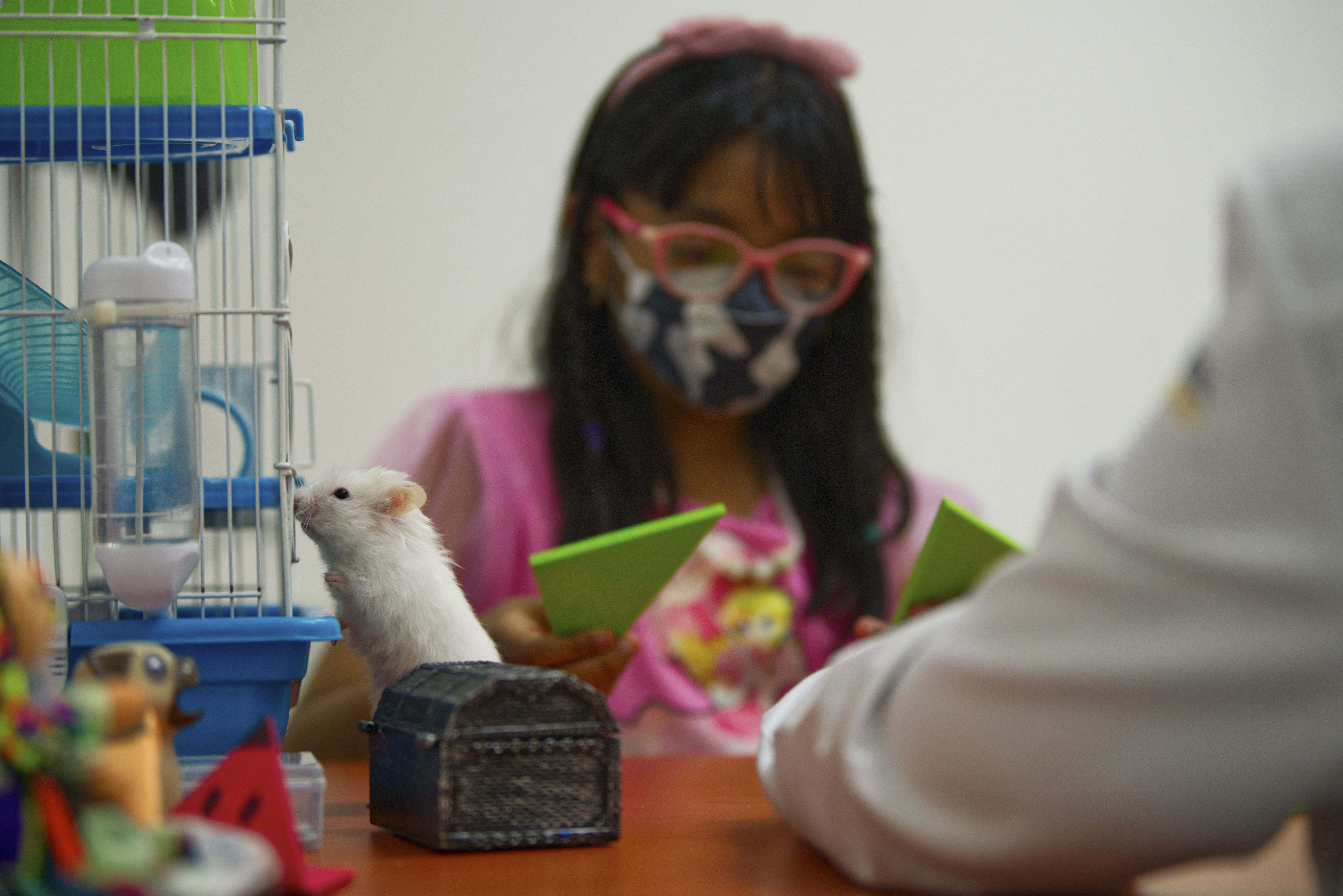 Perros, pericos y un hámster para la salud mental en hospital de México