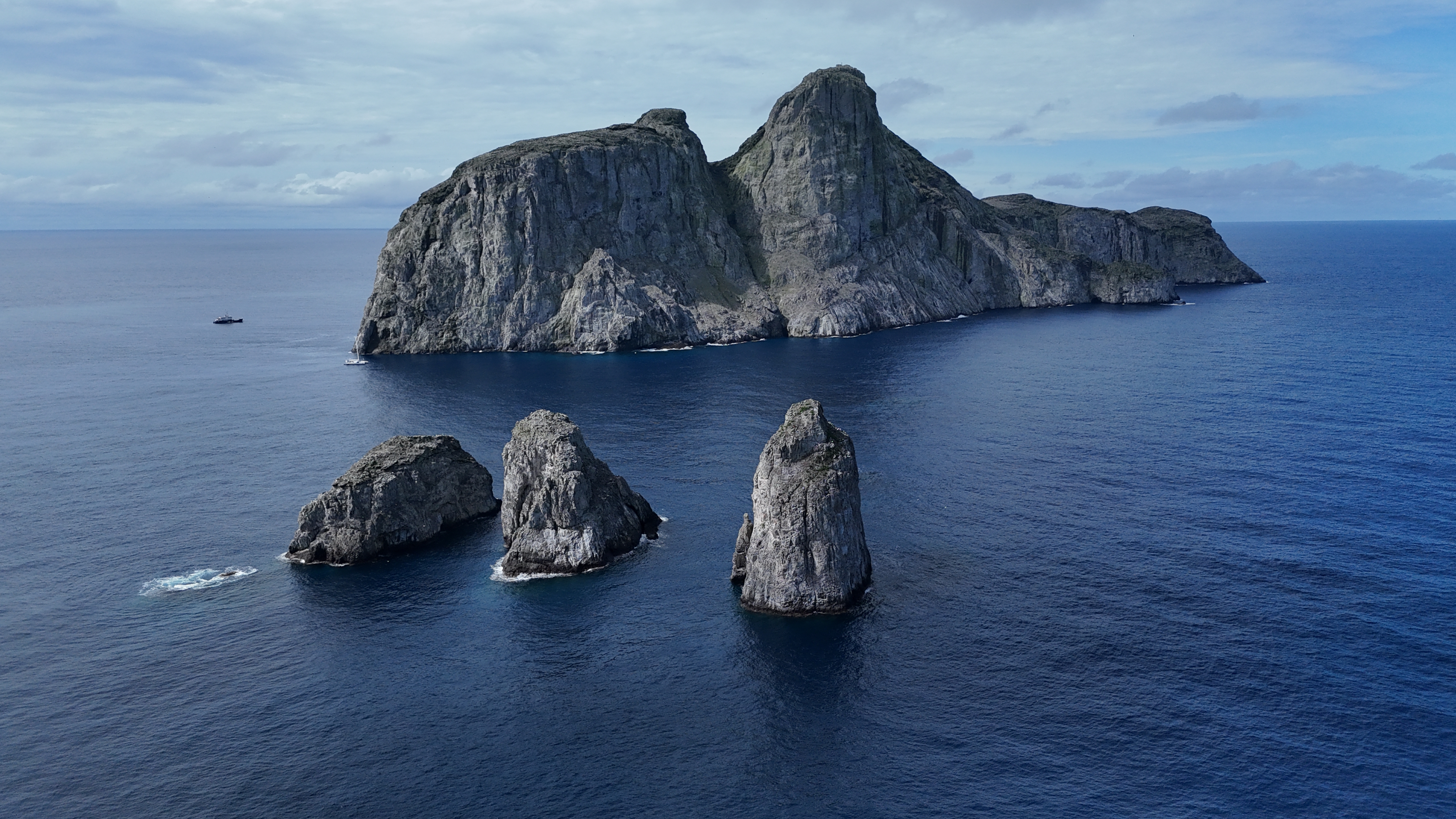 Autoridades capturan a seis presuntos responsables de extraer y mutilar tiburones en Malpelo