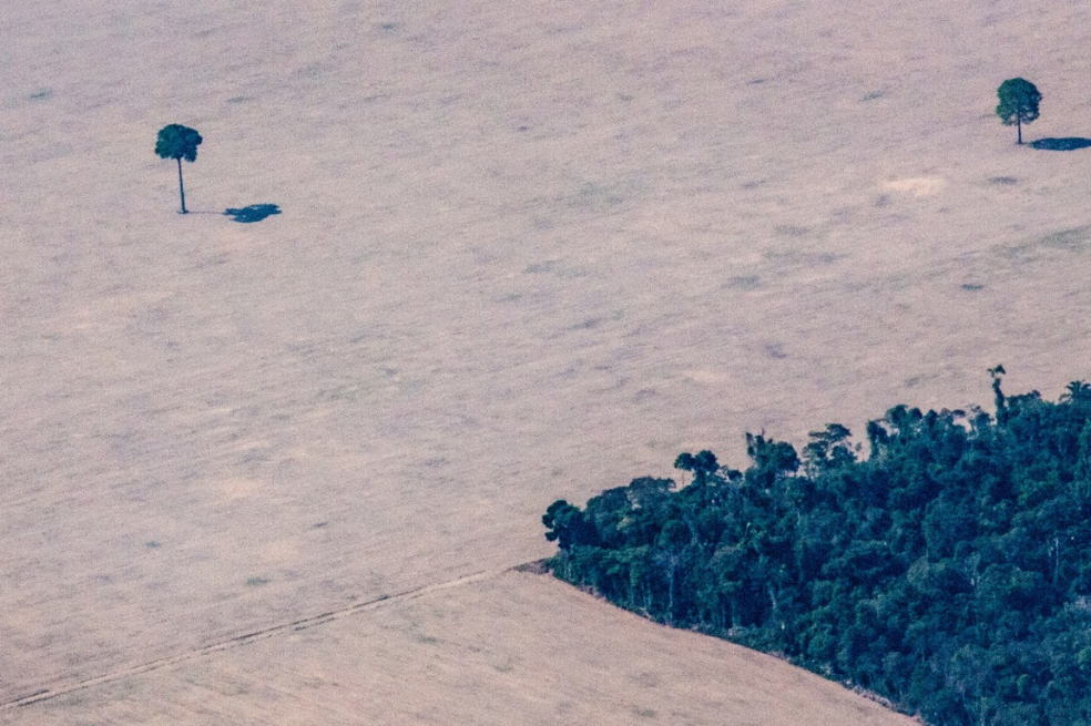 Tierras deforestadas en el sur de la Amazonía.