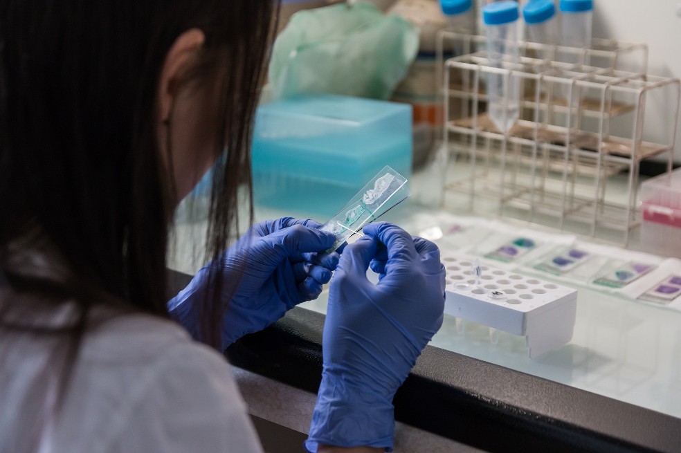 ¿Cómo se podrá identificar el próximo virus que saltará de animales a humanos?