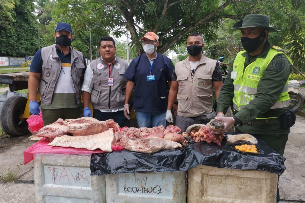Consumo de carne silvestre en Leticia: entre una tradición y un problema ambiental