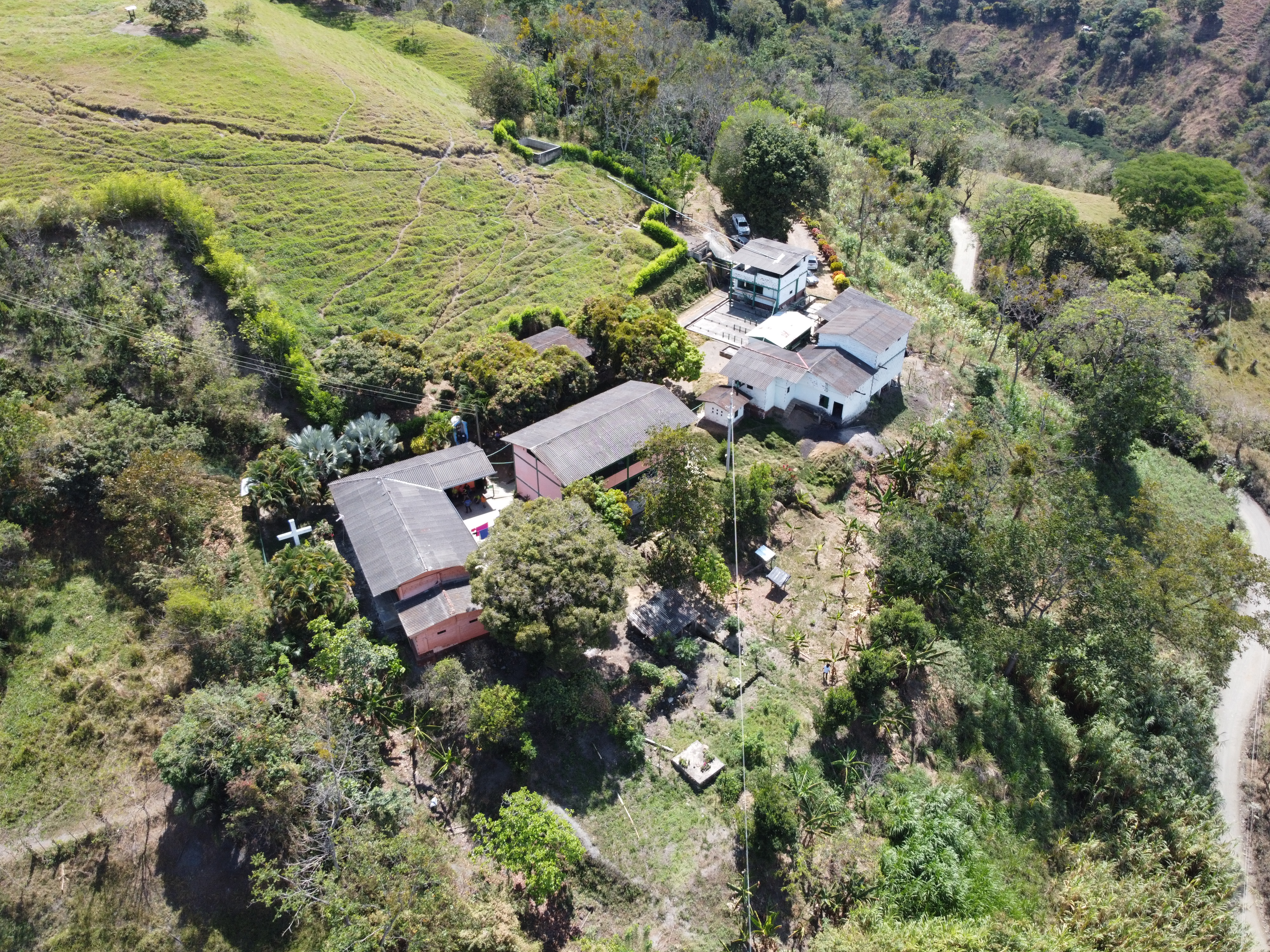 Hasta 30 cargas de café al día producirán excombatientes en Ituango, Antioquia