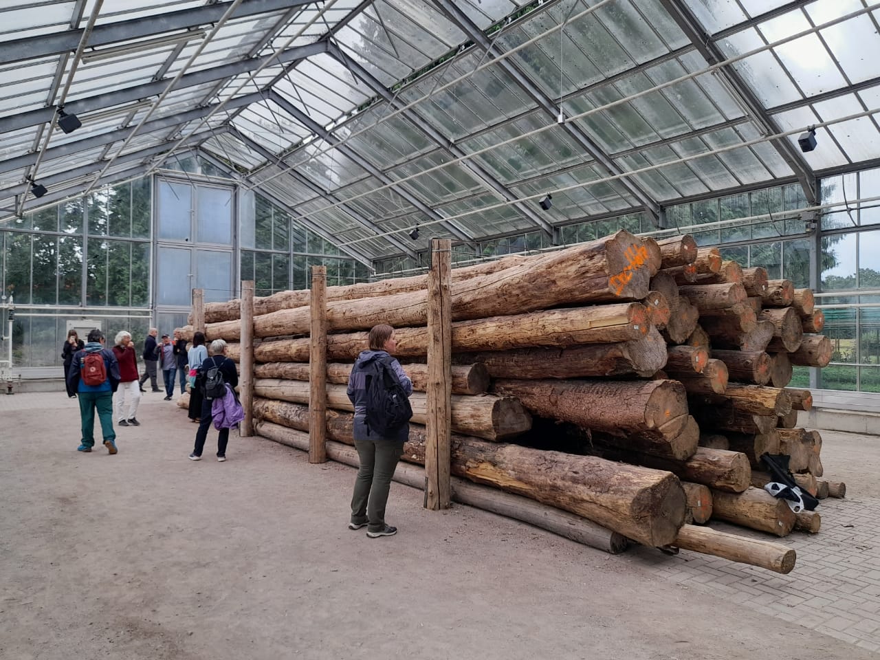 Instalación “Murmullos” en el invernadero.
