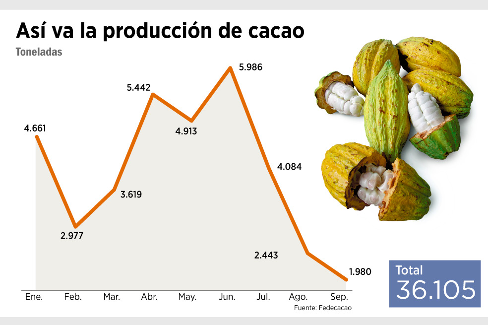 Tras una renovación cacaotera