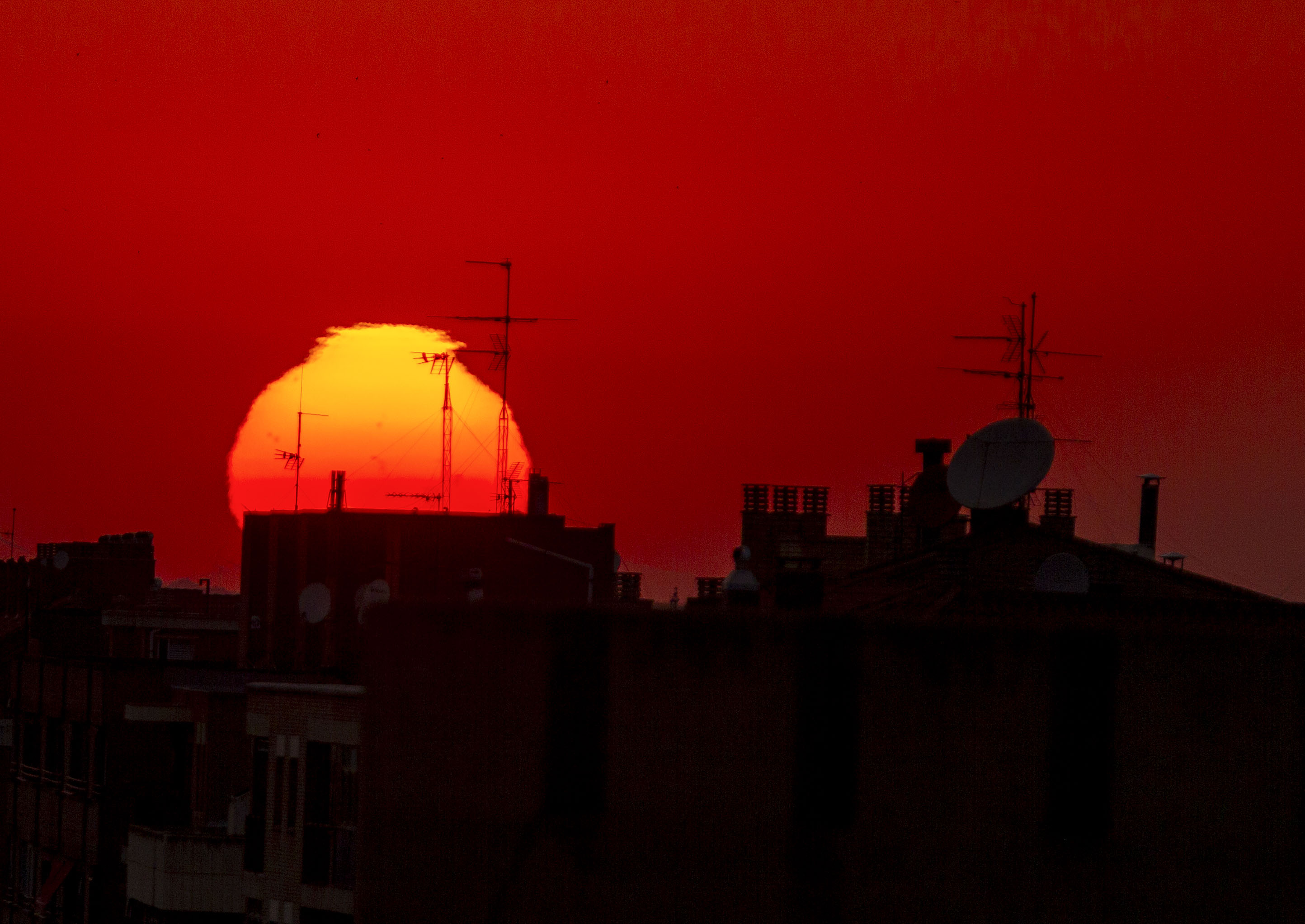Por ola de calor, la OMS decide crear un sistema de alerta para personas en riesgo