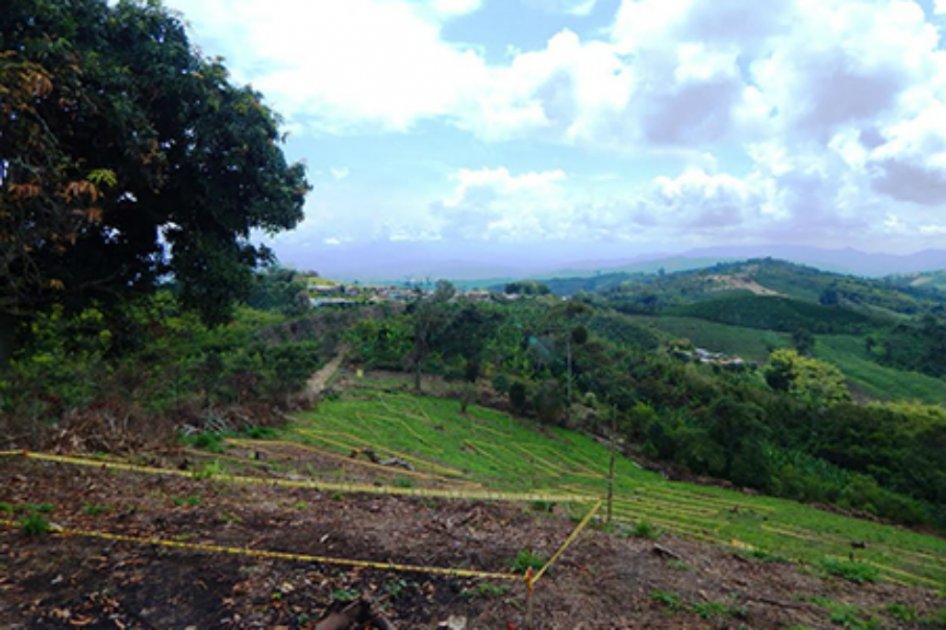 En este terreno se realizará la construcción de las viviendas. / Gobernación de Risaralda. 