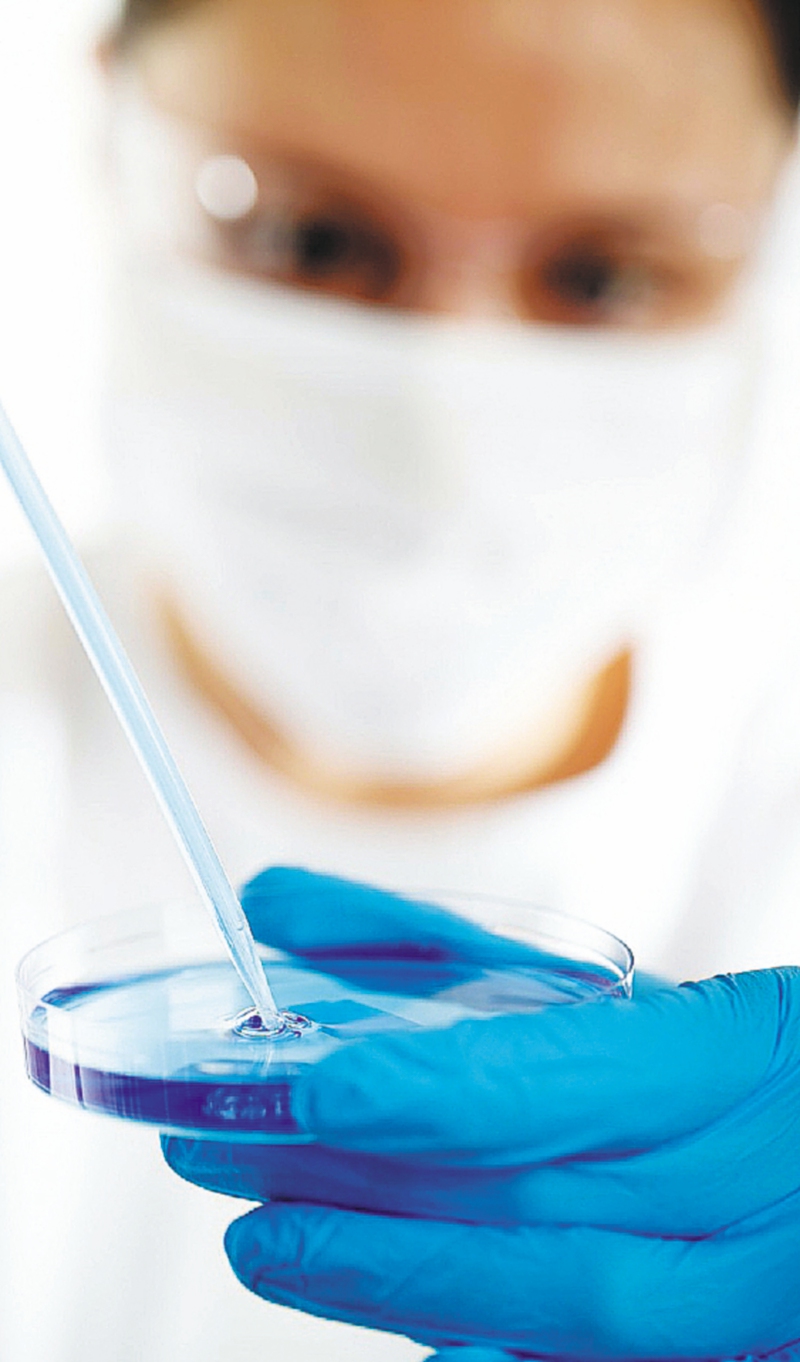 Todo el Senado votó a favor de la creación del Ministerio de Ciencia.