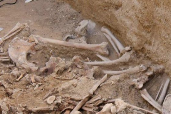 Trabajo de un arqueólogo inspira algoritmo para hallar fosas comunes en Colombia