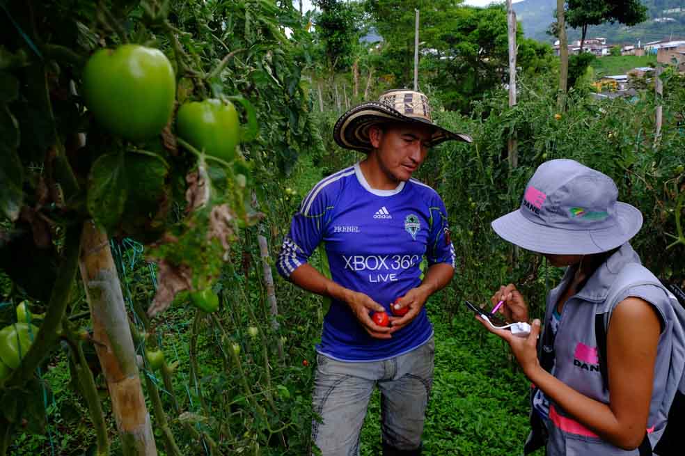 Construyendo una radiografía rural