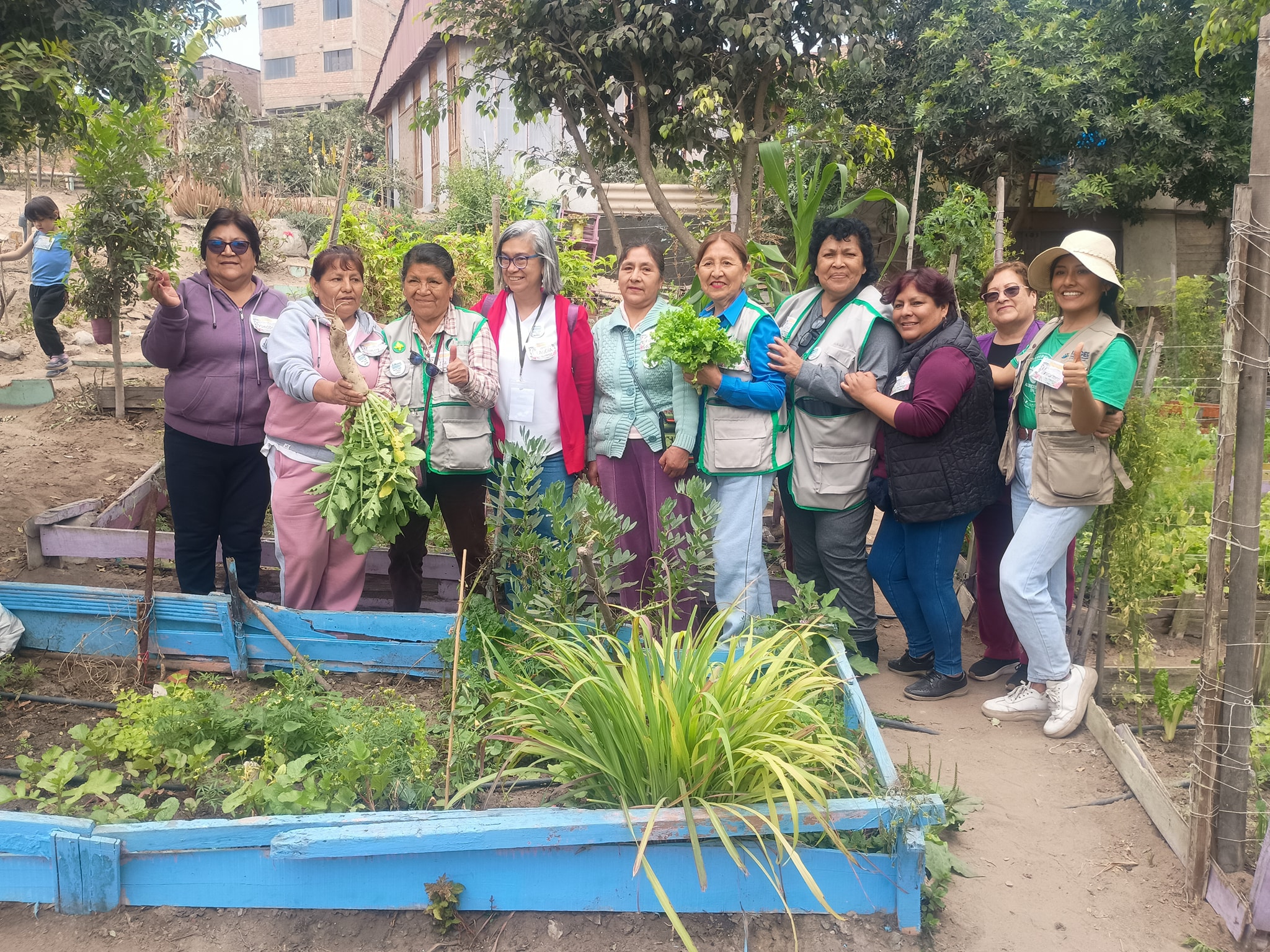 Mujeres de diversas redes y ONG gestionando los biohuertos en el sur de Lima.