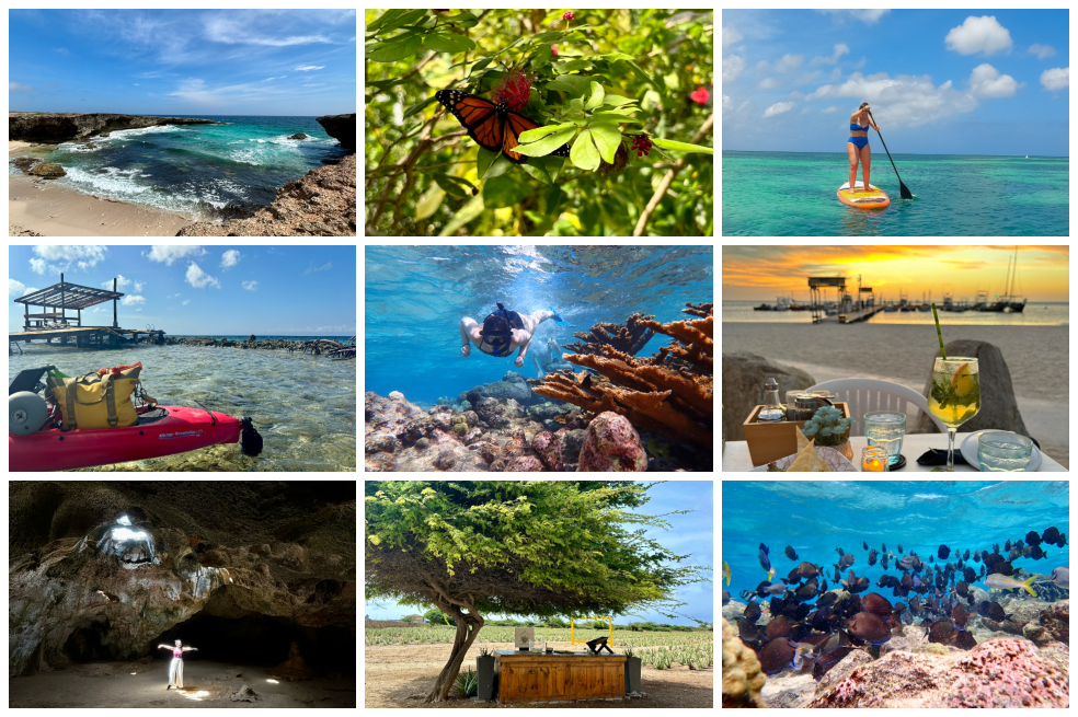 Por qué elegir Aruba como su próximo destino de viaje