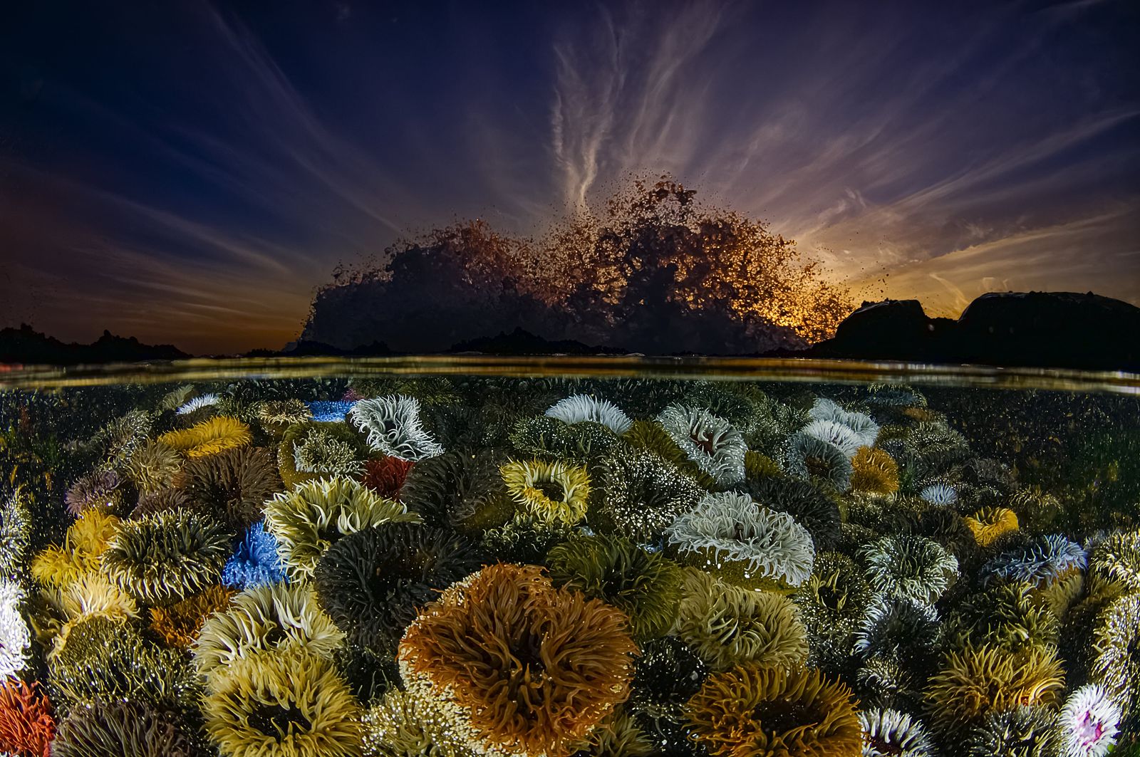 Estas son las fotografías ganadoras del concurso mundial “BigPicture 2024″