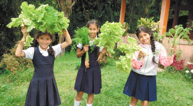 El corregimiento del Valle del Cauca que hoy es ejemplo ambiental en Suramérica