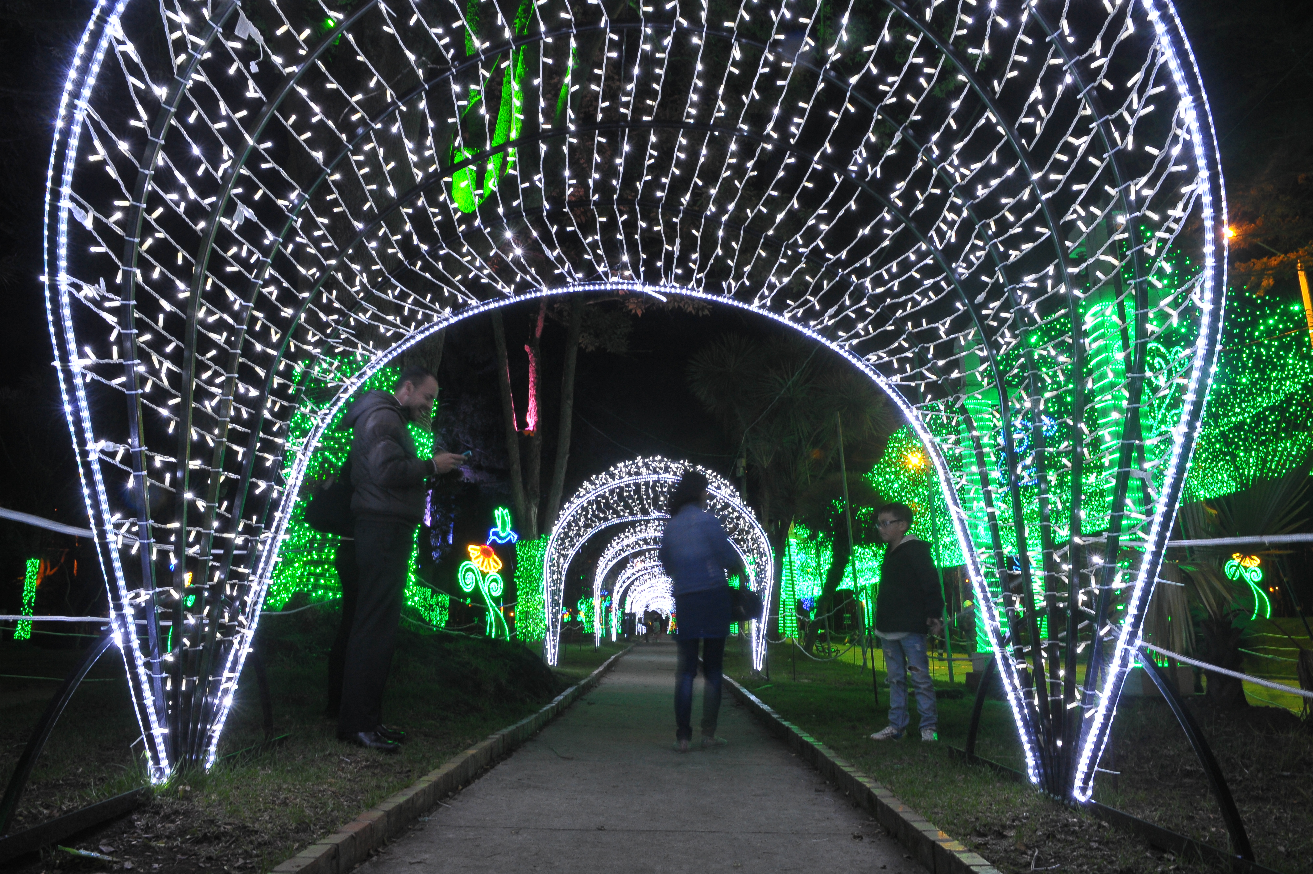 Iluminación navideña en el Parque Nacional.