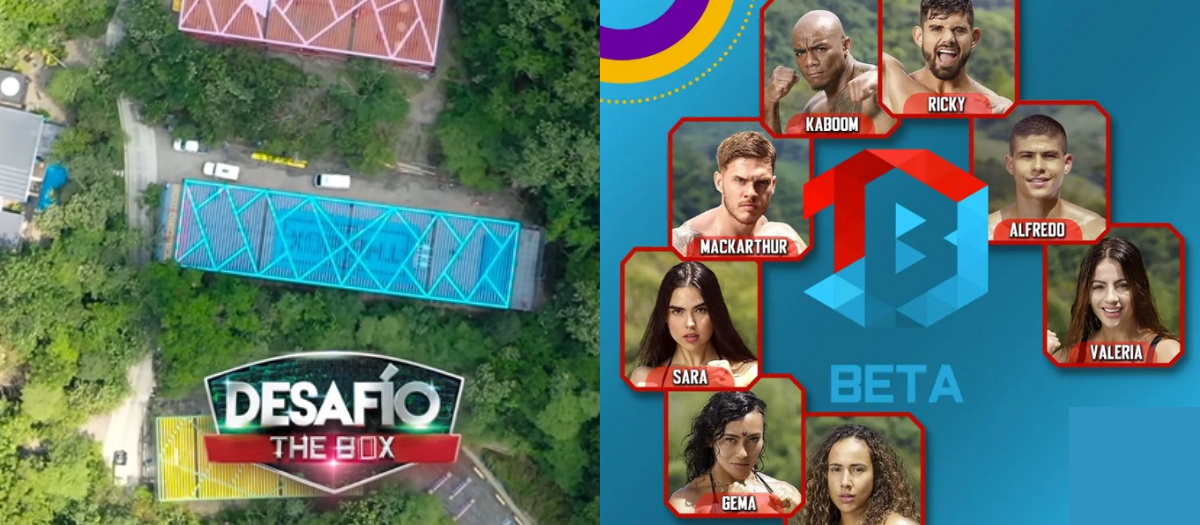 ‘El Desafío: the box’: Beta otra vez al rin y otros datos del último capítulo